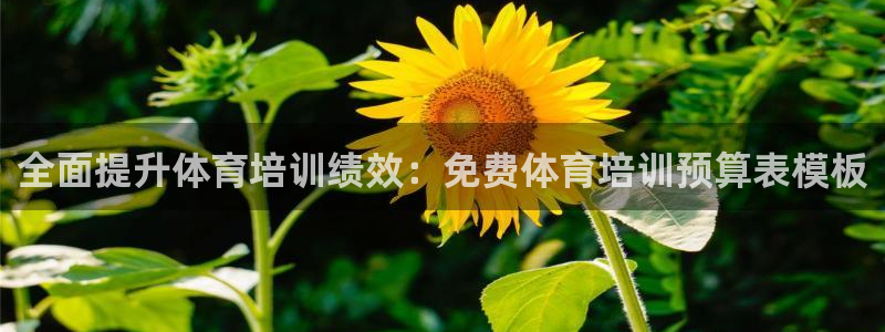 耀世娱乐怎么注册：全面提升体育培训绩效：免费体育培训