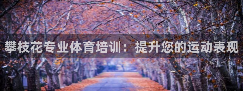 耀世娱乐怎么注册会员：攀枝花专业体育培训：提升您的运