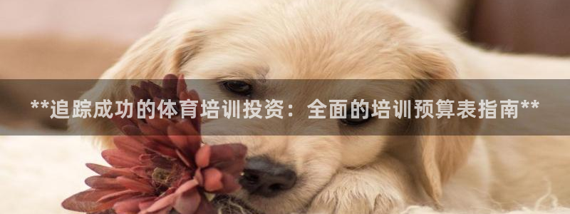 耀世娱乐百科最新：**追踪成功的体育培训投资：全面的