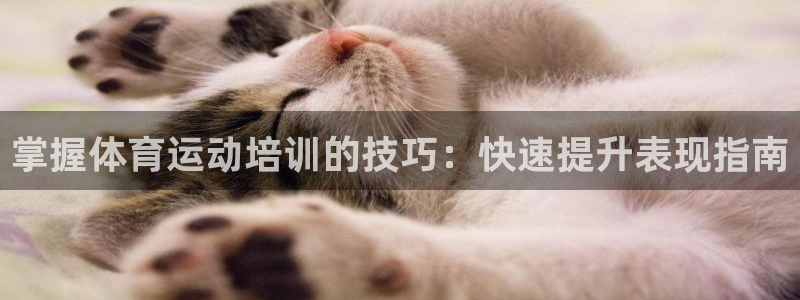 耀世平台负责人：掌握体育运动培训的技巧：快速提升表现