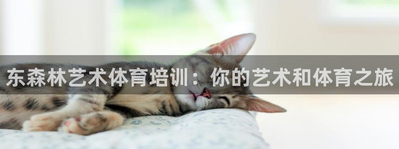 耀世娱乐挂机赚钱吗：东森林艺术体育培训：你的艺术和体