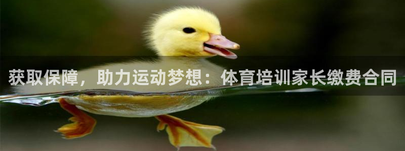 耀世娱乐联 585341：获取保障，助力运动梦想：体