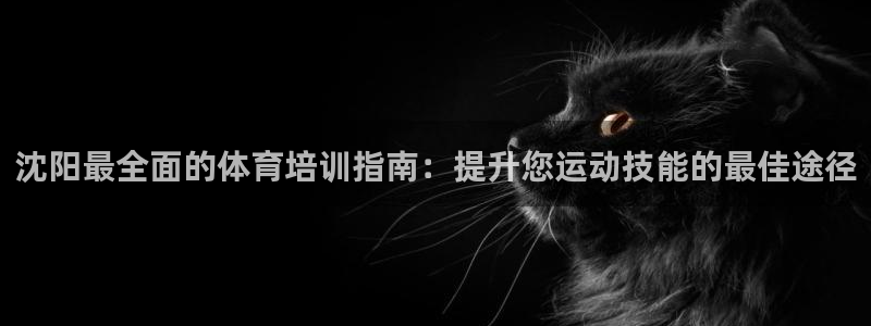 耀世娱乐平台注册地址在哪里：沈阳最全面的体育培训指南