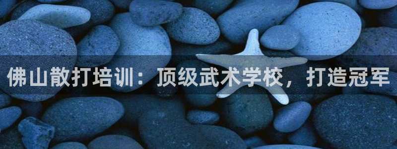 耀世娱乐黑钱吗是真的吗：佛山散打培训：顶级武术学校，