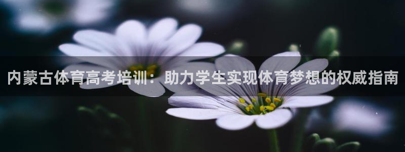 耀世国际集团是国企吗还是央企