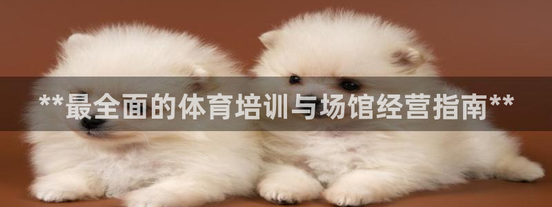 耀世平台下载