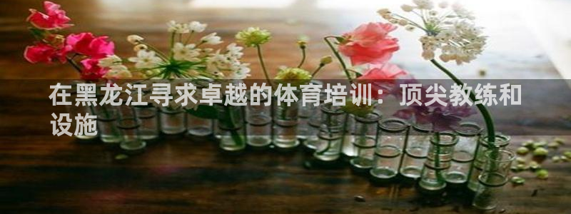 耀世集团是干嘛的：在黑龙江寻求卓越的体育培训：顶尖教