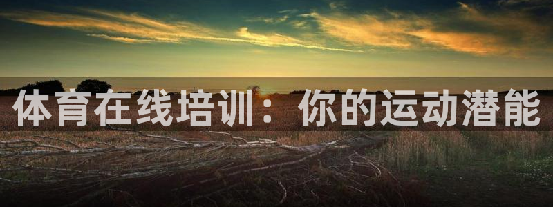 耀世集团王大聪：体育在线培训：你的运动潜能