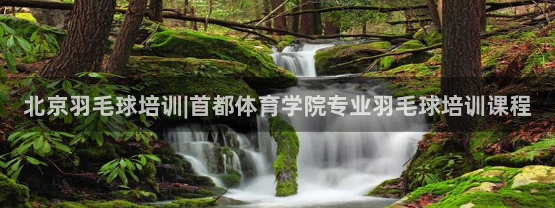 耀世开盘