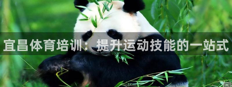 耀世平台皮皮虾：宜昌体育培训：提升运动技能的一站式
