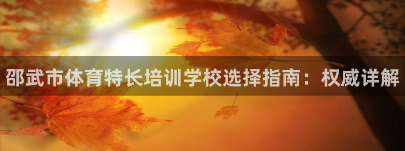 耀世娱乐辅助