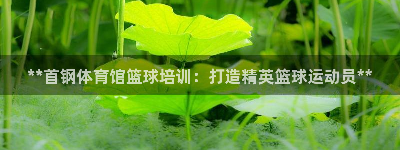 耀世娱乐在线登录官网入口网址：**首钢体育馆篮球培训