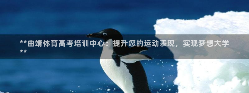 耀世平台主管代理是谁：**曲靖体育高考培训中心：提升您的运动