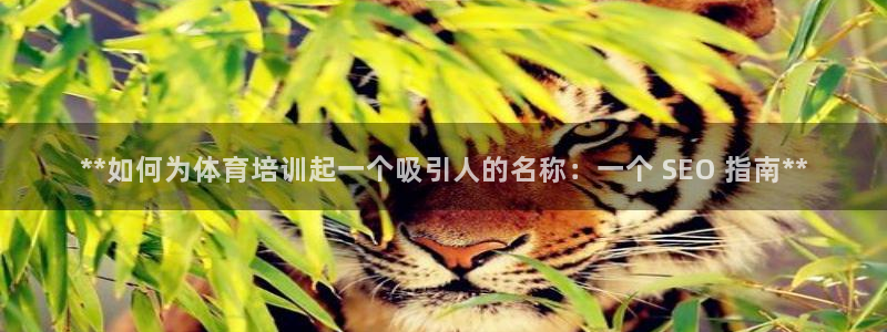 耀世娱乐可以玩吗知乎：**如何为体育培训起一个吸引人