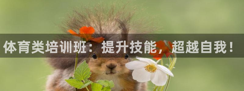 耀世平台最新注册地址在哪：体育类培训班：提升技能，超