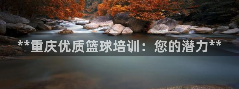 耀世平台主管：**重庆优质篮球培训：您的潜力**