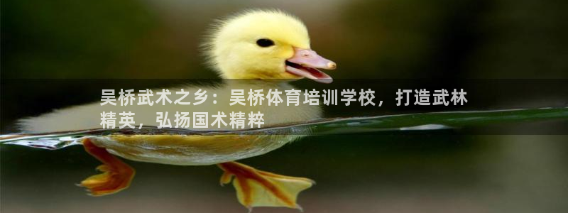 耀世集团小视频：吴桥武术之乡：吴桥体育培训学校，打造