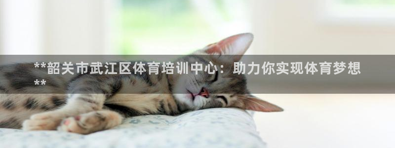 耀世集团王大聪