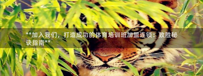 耀世平台注册最新地址在哪