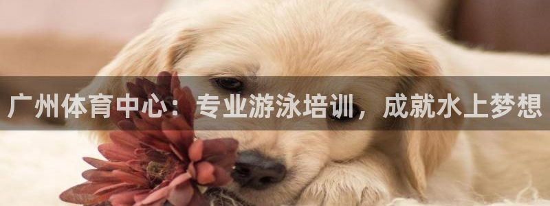 耀世娱乐网址是什么啊：广州体育中心：专业游泳培训，成