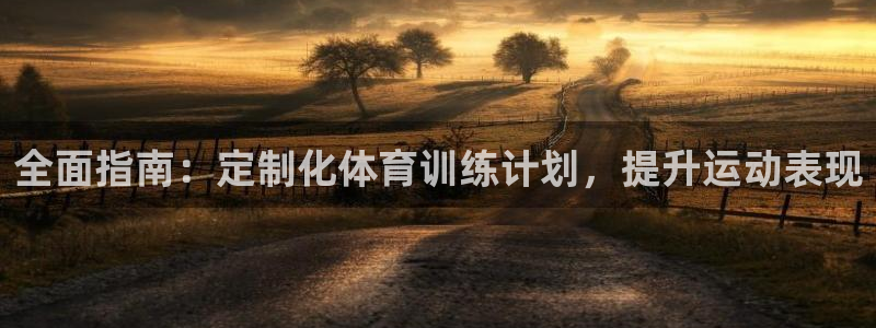 耀世平台合作 585.34I 平台：全面指南：定制化