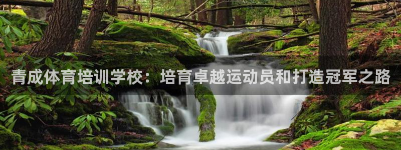 耀世集团是干嘛的企业：青成体育培训学校：培育卓越运动