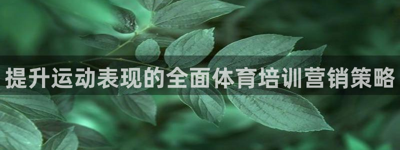 耀世娱乐官网首页登录入口：提升运动表现的全面体育培训营销策略