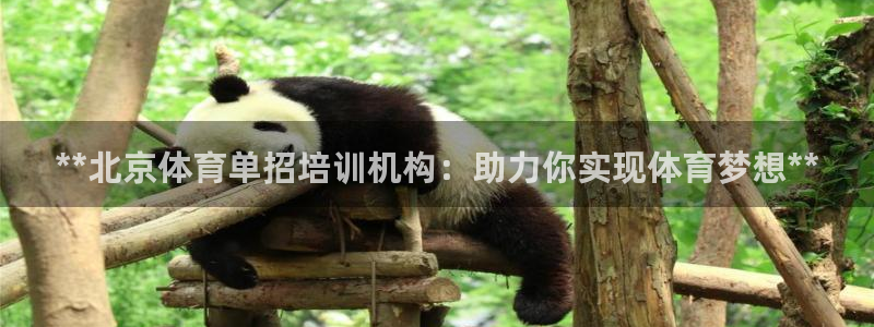耀世国际平台正规吗可靠吗可信吗：**北京体育单招培训