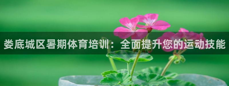 耀世平台主管代理是谁：娄底城区暑期体育培训：全面提升