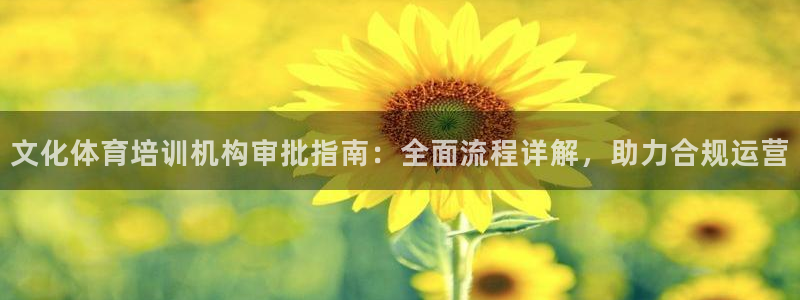 耀世娱乐怎么注册：文化体育培训机构审批指南：全面流程