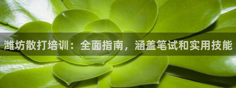 耀世而来是什么意思：潍坊散打培训：全面指南，涵盖笔试