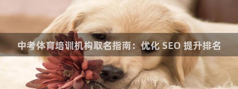 耀世娱乐平台官网登录入口：中考体育培训机构取名指南：