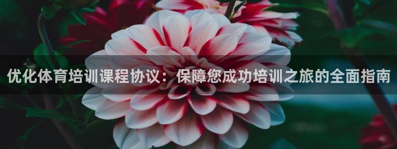 耀世娱乐老板叫什么：优化体育培训课程协议：保障您成功