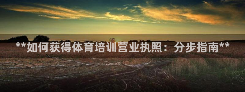 耀世娱乐是正规还是仿真：**如何获得体育培训营业执照