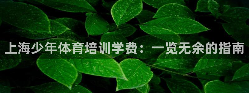 耀世娱乐圈主管什么：上海少年体育培训学费：一览无余的