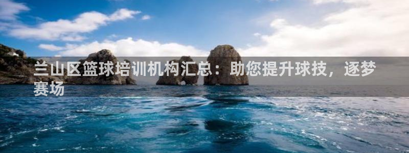 耀世娱乐登录地址在哪查：兰山区篮球培训机构汇总：助您