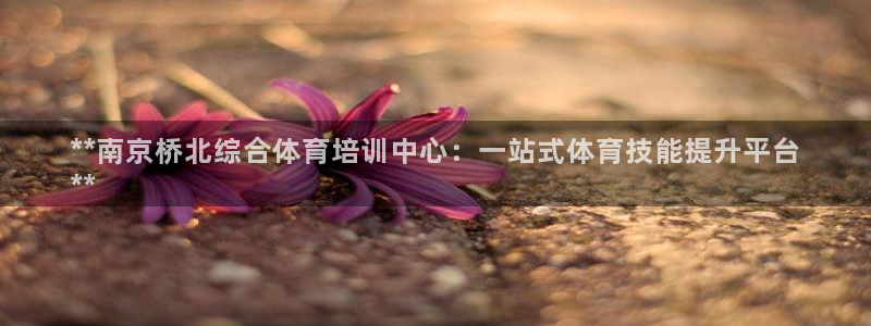 耀世娱乐骗局揭秘：**南京桥北综合体育培训中心：一站