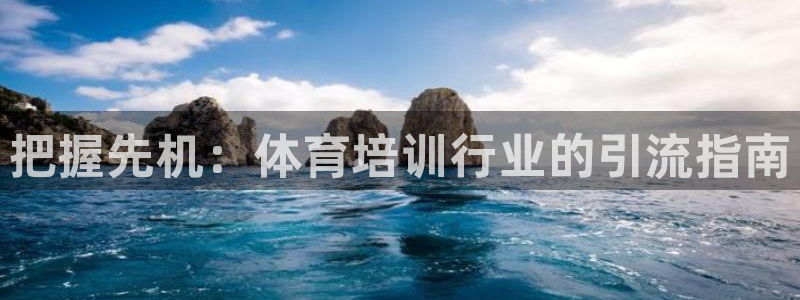 耀世微光mp3下载：把握先机：体育培训行业的引流指南