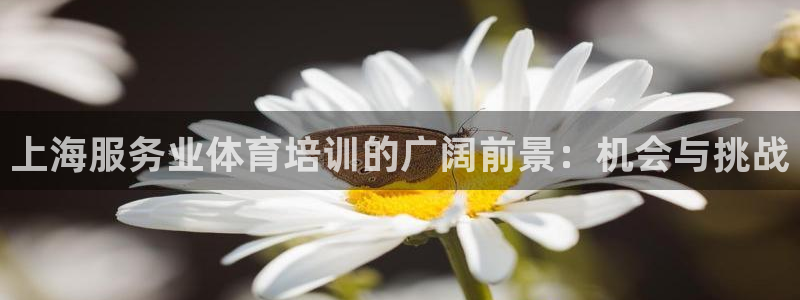 耀世娱乐圈主管：上海服务业体育培训的广阔前景：机会与