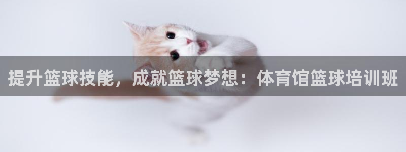 耀世娱乐总代理电话：提升篮球技能，成就篮球梦想：体育