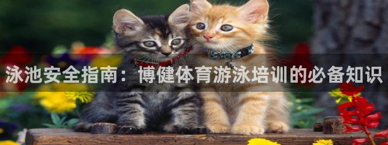 耀世娱乐腾讯分分彩代理联系方式：泳池安全指南：博健体