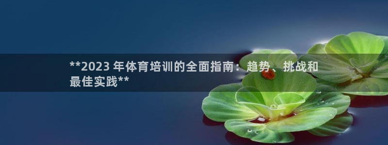耀世娱乐老板是谁：**2023 年体育培训的全面指南