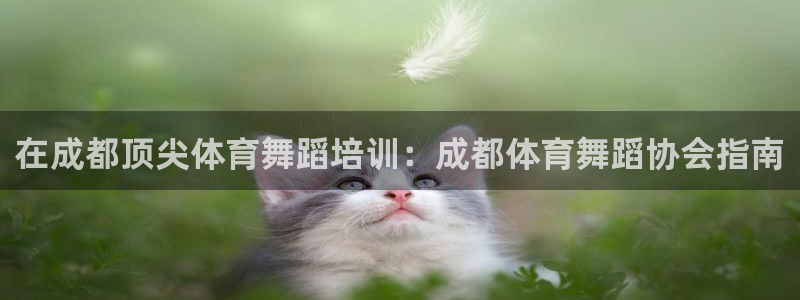 耀世娱乐是正规还是仿真：在成都顶尖体育舞蹈培训：成都