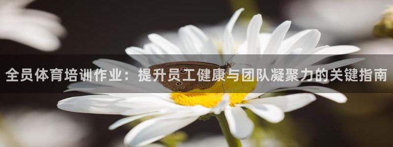 耀世国际平台正规吗可信吗安全吗：全员体育培训作业：提