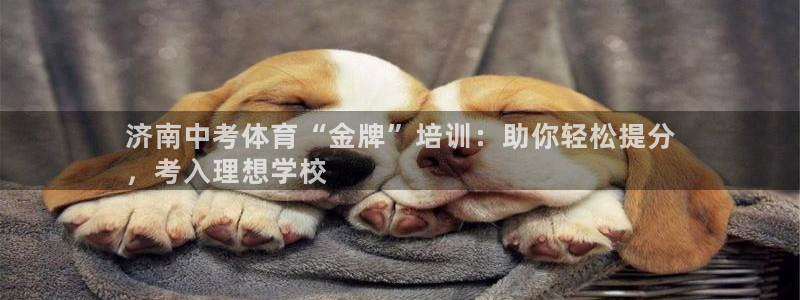 耀世平台总代理在哪：济南中考体育“金牌”培训：助你轻松提分
