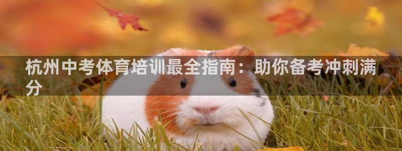 耀世集团是什么电影里的人物：杭州中考体育培训最全指南：助你备