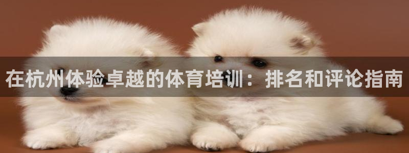 耀世娱乐挂机教程下载：在杭州体验卓越的体育培训：排名