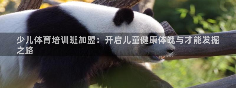 耀世平台注册网址是多少：少儿体育培训班加盟：开启儿童