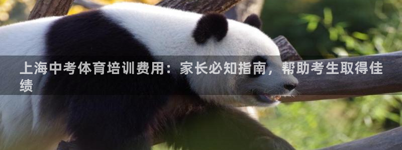 耀世娱乐挂机：上海中考体育培训费用：家长必知指南，帮