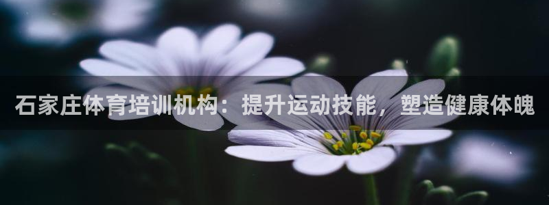 耀世平台寇 5O6917 耀世：石家庄体育培训机构：